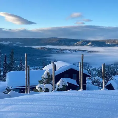 Mountain With Ski-in Ski-out In
