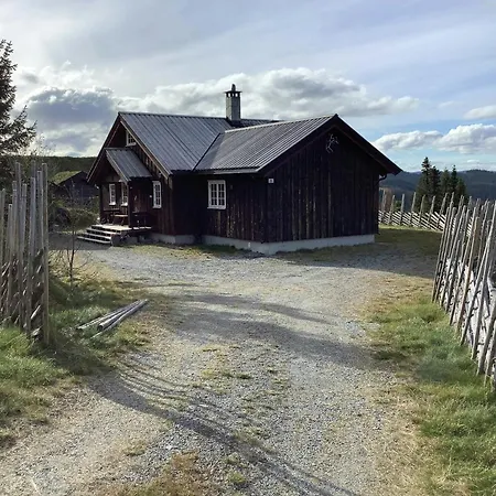 Feriehus Mountain With Ski-in Ski-out In Nesbyen